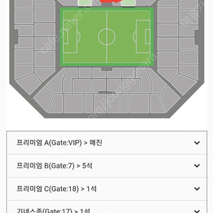 축구 이집트전 티켓 1등석B 정가판매