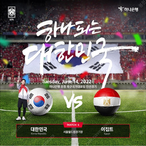 대한민국 vs 이집트 하나은행초청 6/14일 프리미엄B 2연석 양도합니다