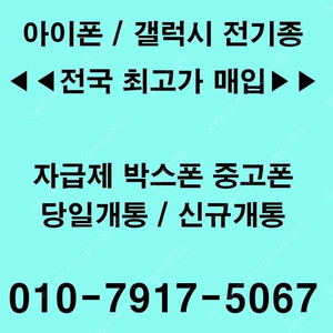 아이패드 프로 12.9인치/11인치 갤럭시탭 s8 플러스 방문매입!