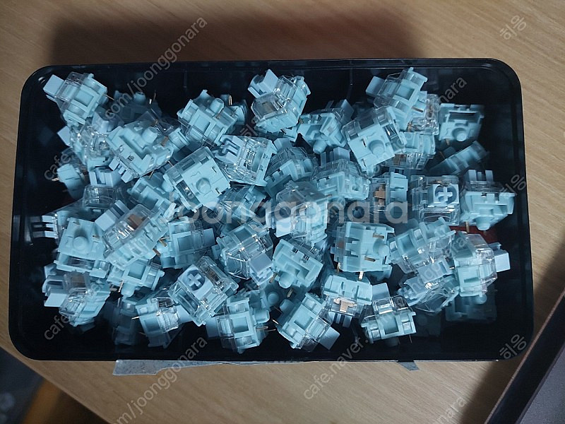 저소음 월백축 90개 (TTC blueish white...--0