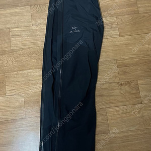 아크테릭스 베타 팬츠 L/G