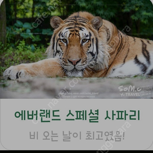 에버랜드 6월26일 사파리스페셜투어 티켓구합니다