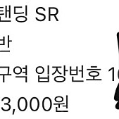 싸이 흠뻑쇼 수원 sr스탠딩 가구역 1000번대 단일석