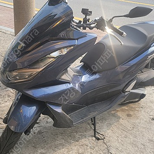 21년식 pcx125 저키로수 판매합니다