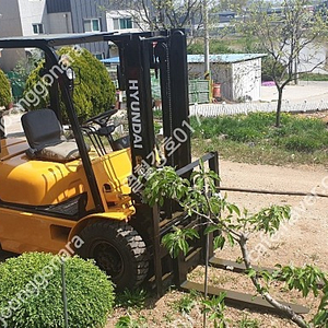 군용 현대 디젤지게차 2톤지게차 팝니다.