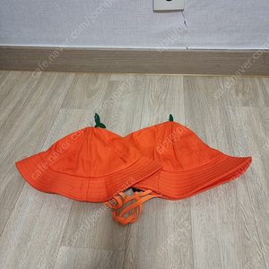 제주도 감귤모자