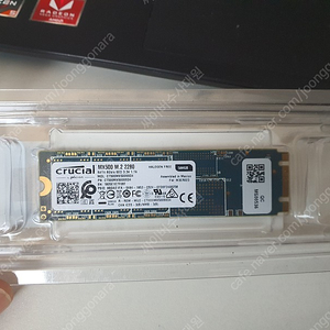 크루셜 m 2 ssd 2280 500g