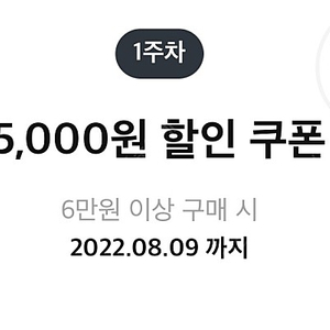 오늘의집 6만이상 5천 할인쿠폰 팔아요