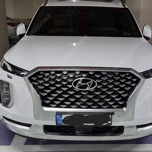 팰리세이드 가솔린 4륜 7인승 캘리그래피