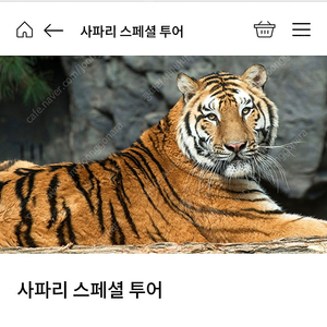 에버랜드 사파리 스페셜투어 6월30일