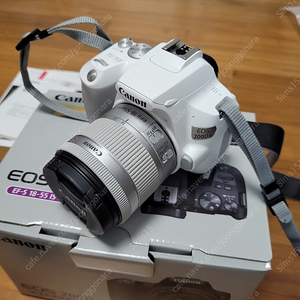 캐논 eos 200d