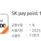 SK Pay point 10만원 쿠폰