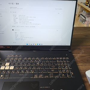 ASUS TUF Gaming F17 FX707ZC-HX035 판매합니다.