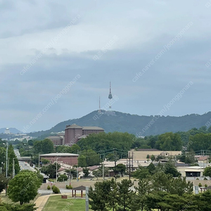 월악산 유스호스텔 a타입 8월 구해봅니다.