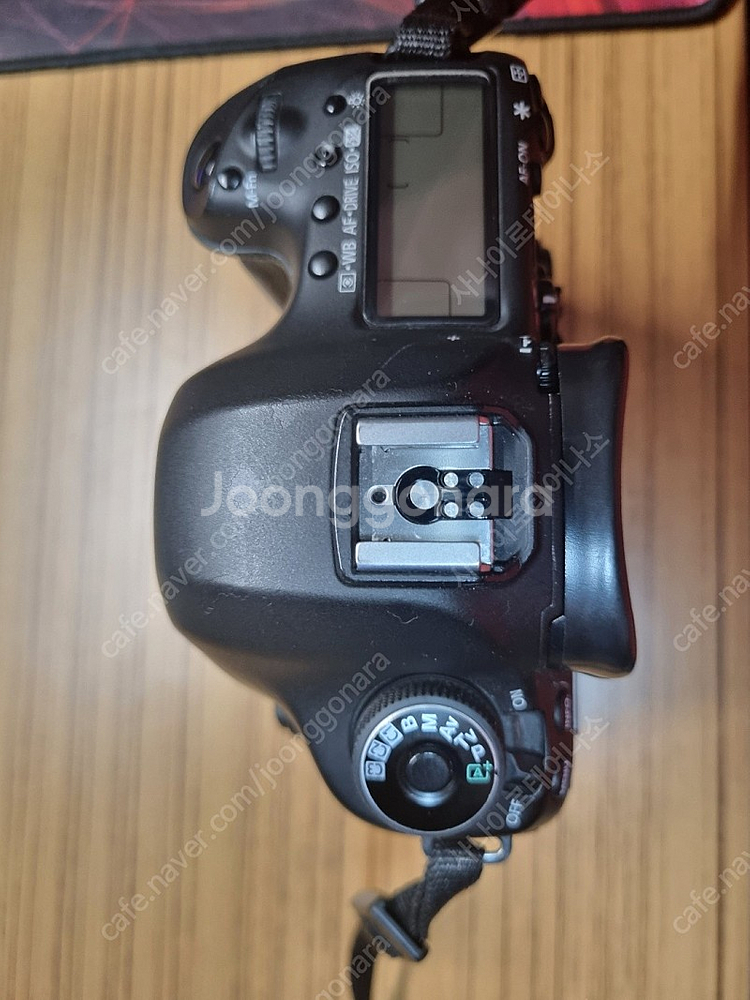 5D Mark III (오막삼) 팝니다--3