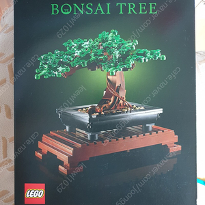 레고 분재나무 10281 완성품 판매 (4.5만원, 박스O)