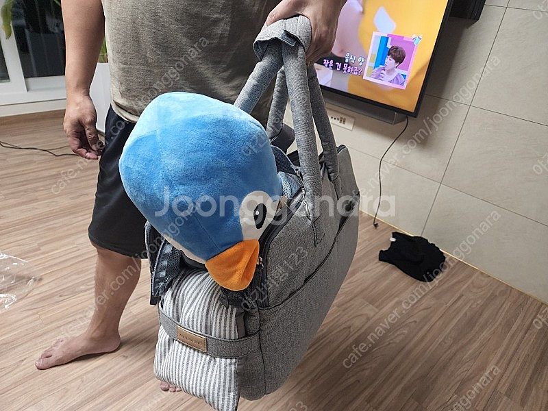 애견 가방 판매(에이미 러브즈펫 L)--9