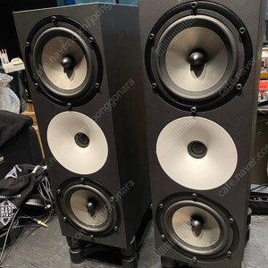 Amphion Two 18 + amp, SMS stand
