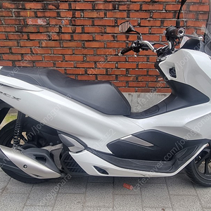 pcx 125 20 백색