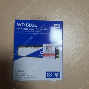 wd m.2 ssd 500g 팝다