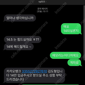 rg503 김도형 사기당하신분