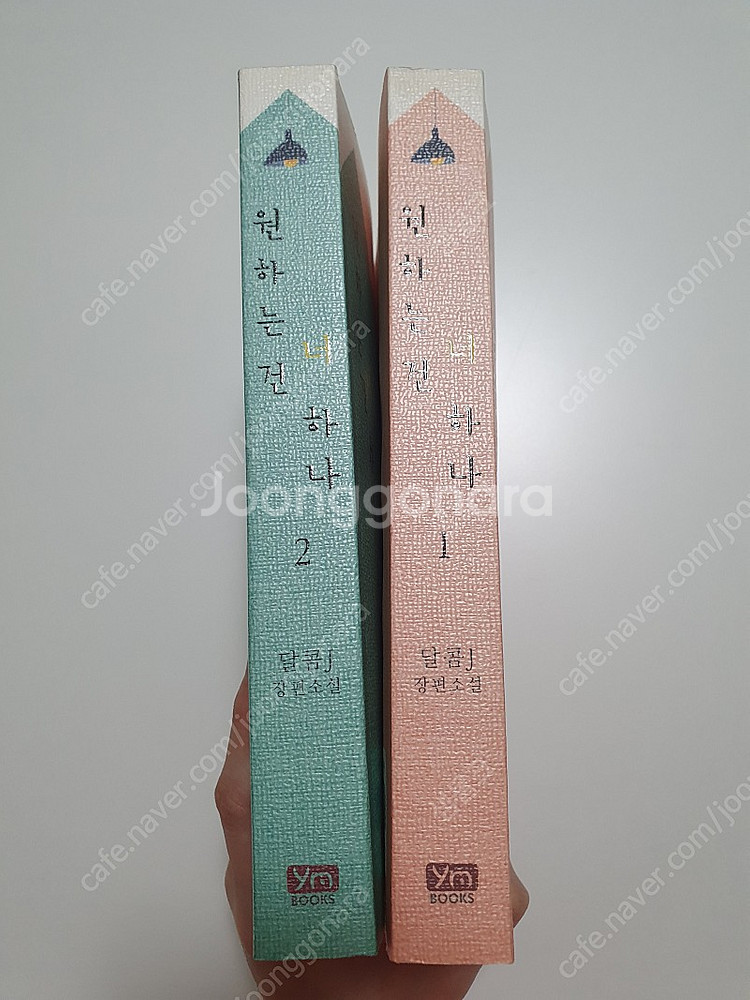 [N웹소설] 원하는 건 너 하나1,2 세트(초판)--1
