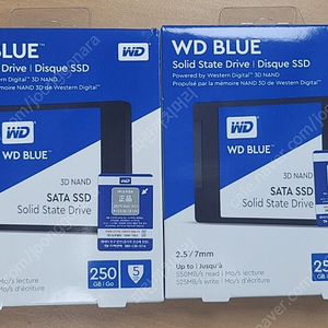 wd blue ssd 250gb 2개 일괄