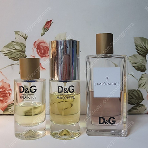 돌체 앤 가바나 페미닌-마스큘랑-램프하트리스- D&G Feminine-D&G Masculine- Anthology L'Imperatrice 3 돌체앤가바나향수