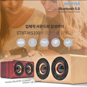 [스마텍] 블루투스 우드스피커 STBT-WS100