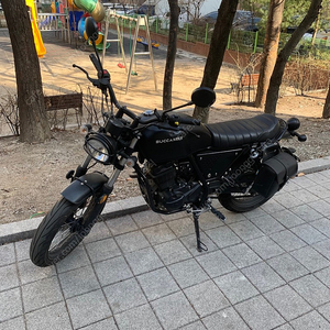 부캐너 125cc 2019년식