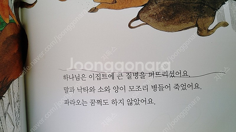 리틀 성경동화 판매합니다~--3