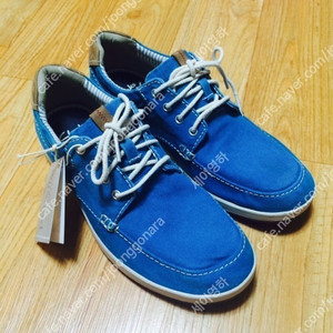 클락스 스니커즈 Clarks Norwin Vibe' Sneaker (Men) - Aqua (260)