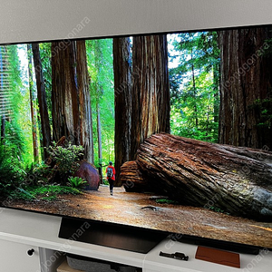 LG OLED 65인치 (65BXENA)스텐드형 판매합니다.