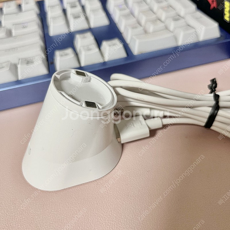 지슈라 마젠타핑크, 충전독 포함--1