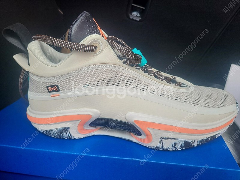 조던 36 로우 PF 280--8