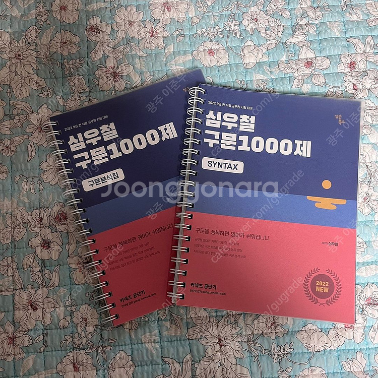 5개--1
