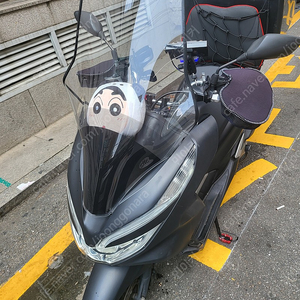 pcx 125cc 19년식 팝니다