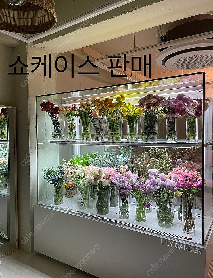 쇼케이스 꽃냉장고 베이커리냉장고 쇼케이스냉장고--0