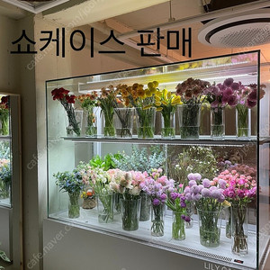 쇼케이스 꽃냉장고 베이커리냉장고 쇼케이스냉장고