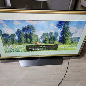 LG OLED 55인치 티비 OLED55E8KNA