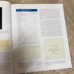 molecular biology 분자생물학 4판 원서 택포0