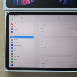 아이패드 프로 11인치 M1 셀룰러
