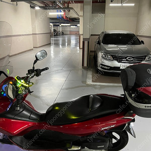 pcx125cc혼다 2013년