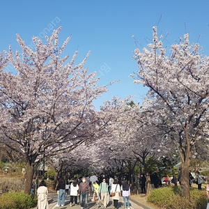 배민.요기요판매