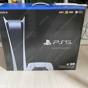 PS5 디지털