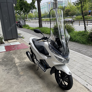 출퇴근용 20년식 pcx125 250만원