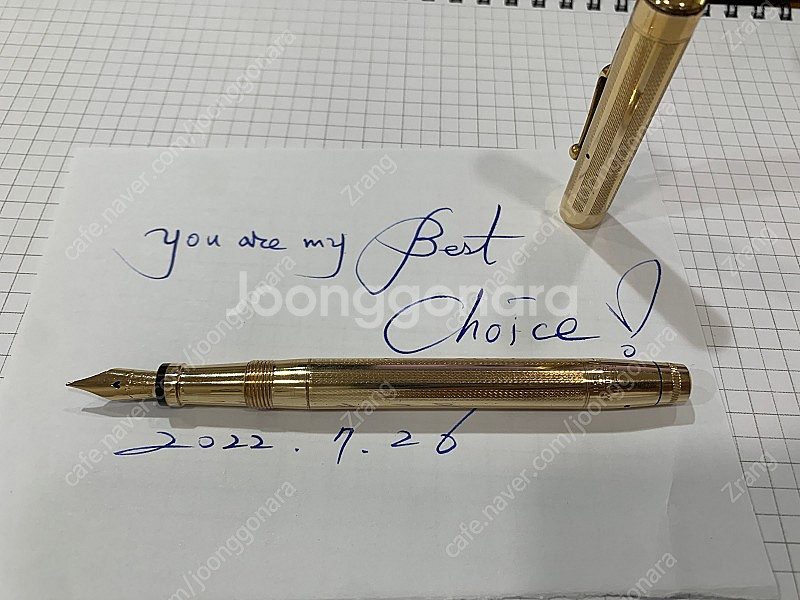 빈티지 스완 만년필 Swan Fountain Pen--6