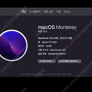 맥북프로 14인치 m1max(32코어) 램32G 1tb 스그 모델 팝니다