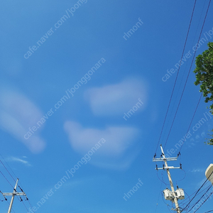 태그호이어 각28장씩