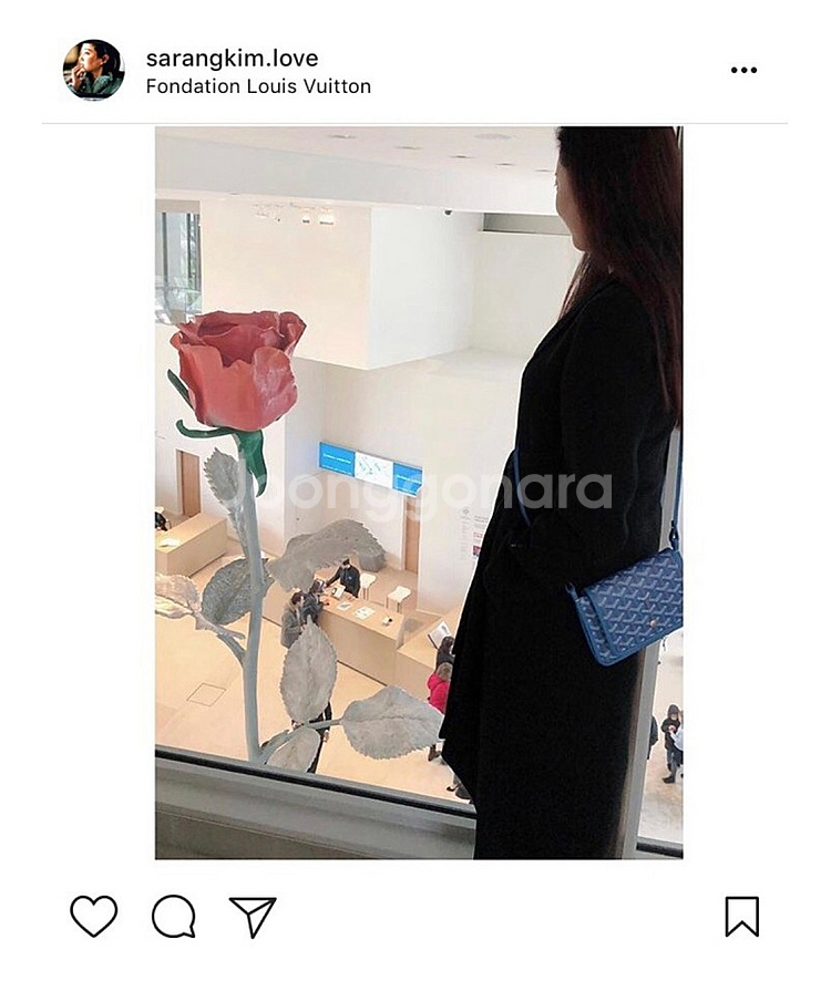 고야드 플뤼메 블루 스페셜컬러--5